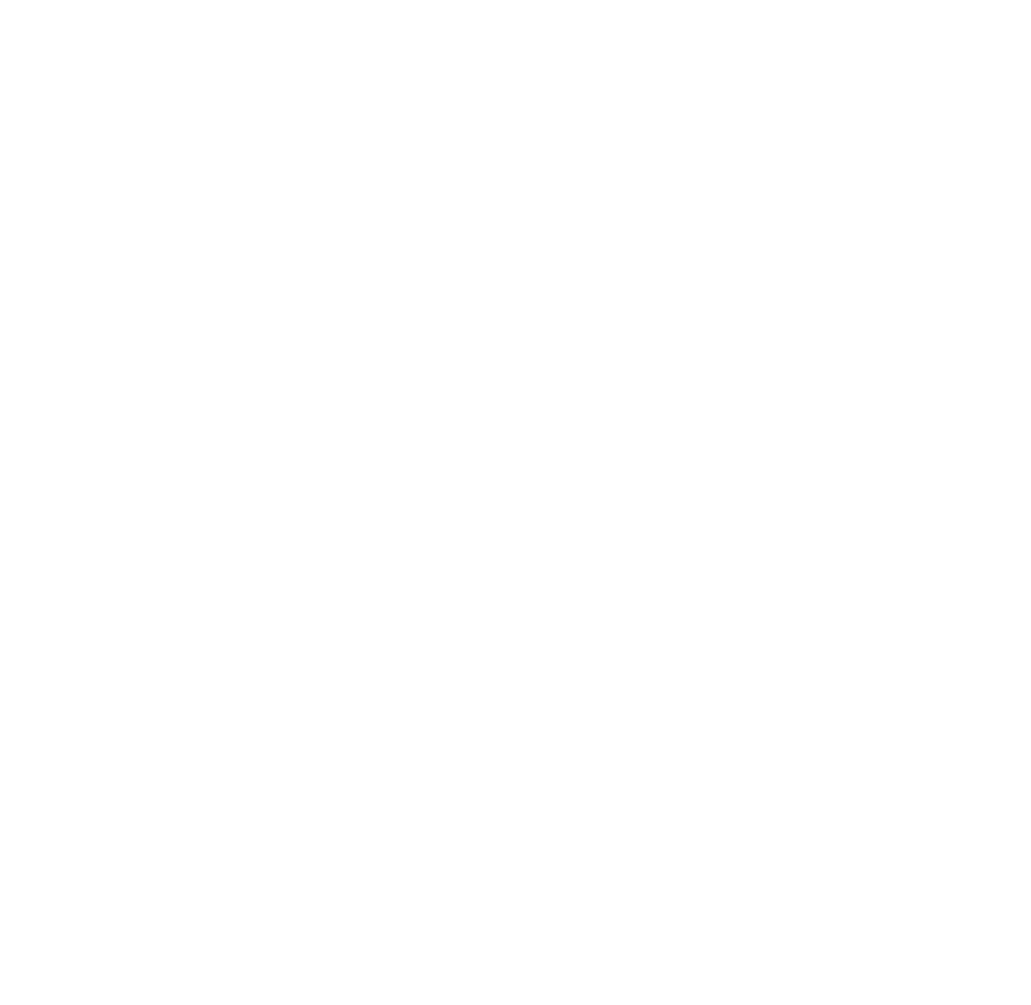BASIS BEWUSST SEIN